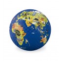 Pelota del mundo de 18 cm